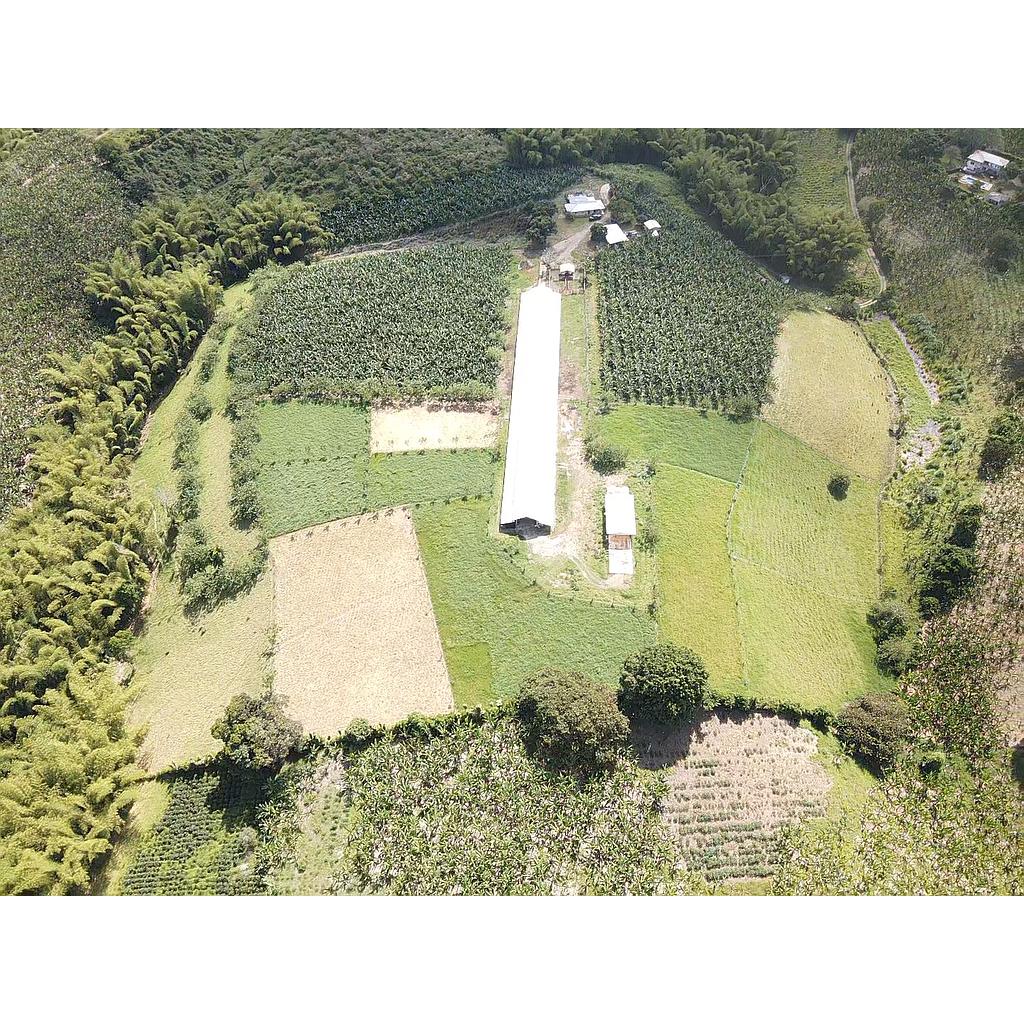[V000002392] Finca agro productiva  en vereda el naranjal para venta
