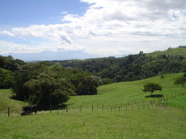 [V998800694] Lote campestre en Filandia  para venta