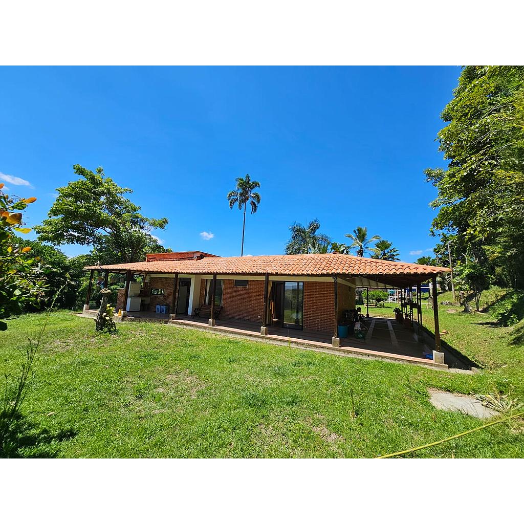 [VFnc01248] Finca en Vereda Buenos Aires para venta