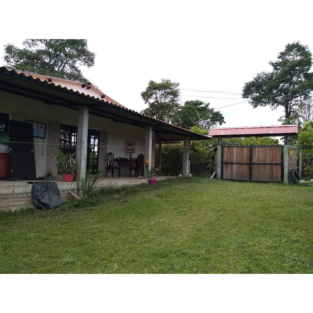 [V201068] FINCA en Vía Montenegro Circasia para venta