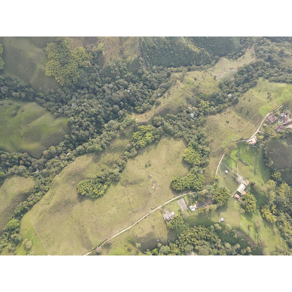 [A000945] FINCA PRODUCCION AGRICOLA en Filandia Km2 para arriendo