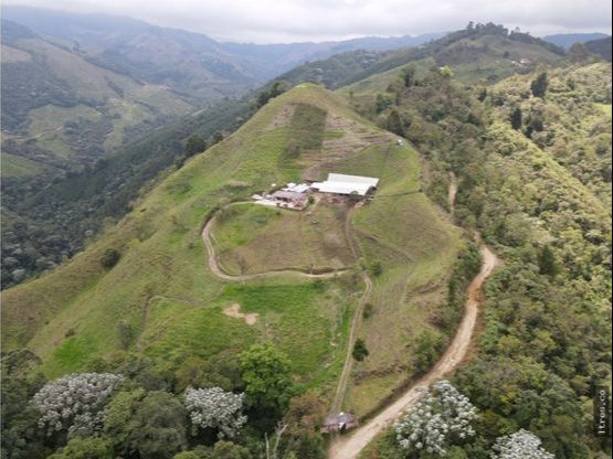 [A000966] FINCA PRODUCCION AGRICOLA en Salento, Quindío para arriendo