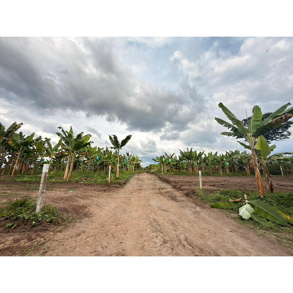 [VCampestre02301] Casa Campestre en zona Vía La Tebaida para venta - VCampestre02301