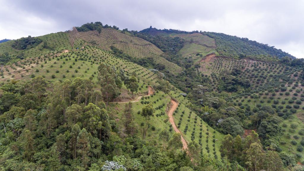 [V000357] FINCA PRODUCCION AGRICOLA en zona PIJAO para venta - V000357