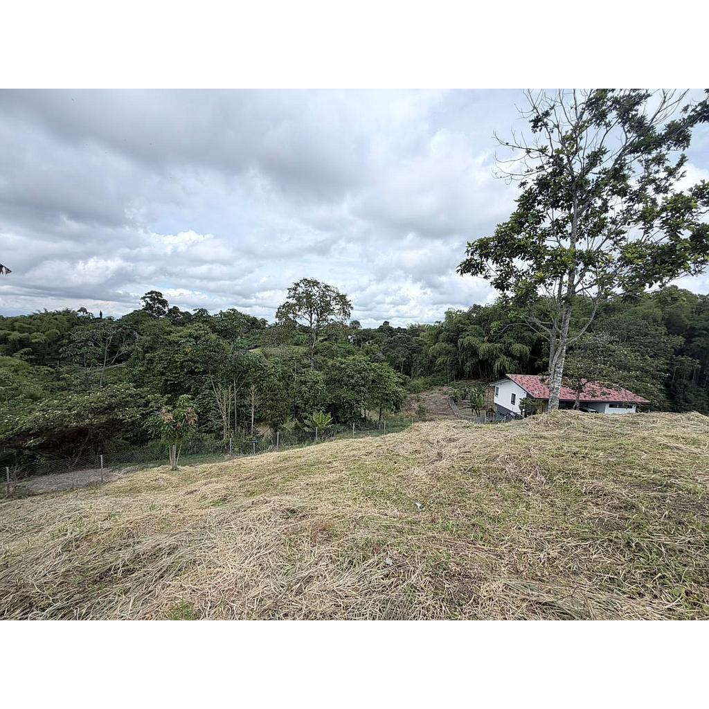 [VLtcmpstr02457] Lote campestre en zona Circasia para venta - VLtcmpstr02457