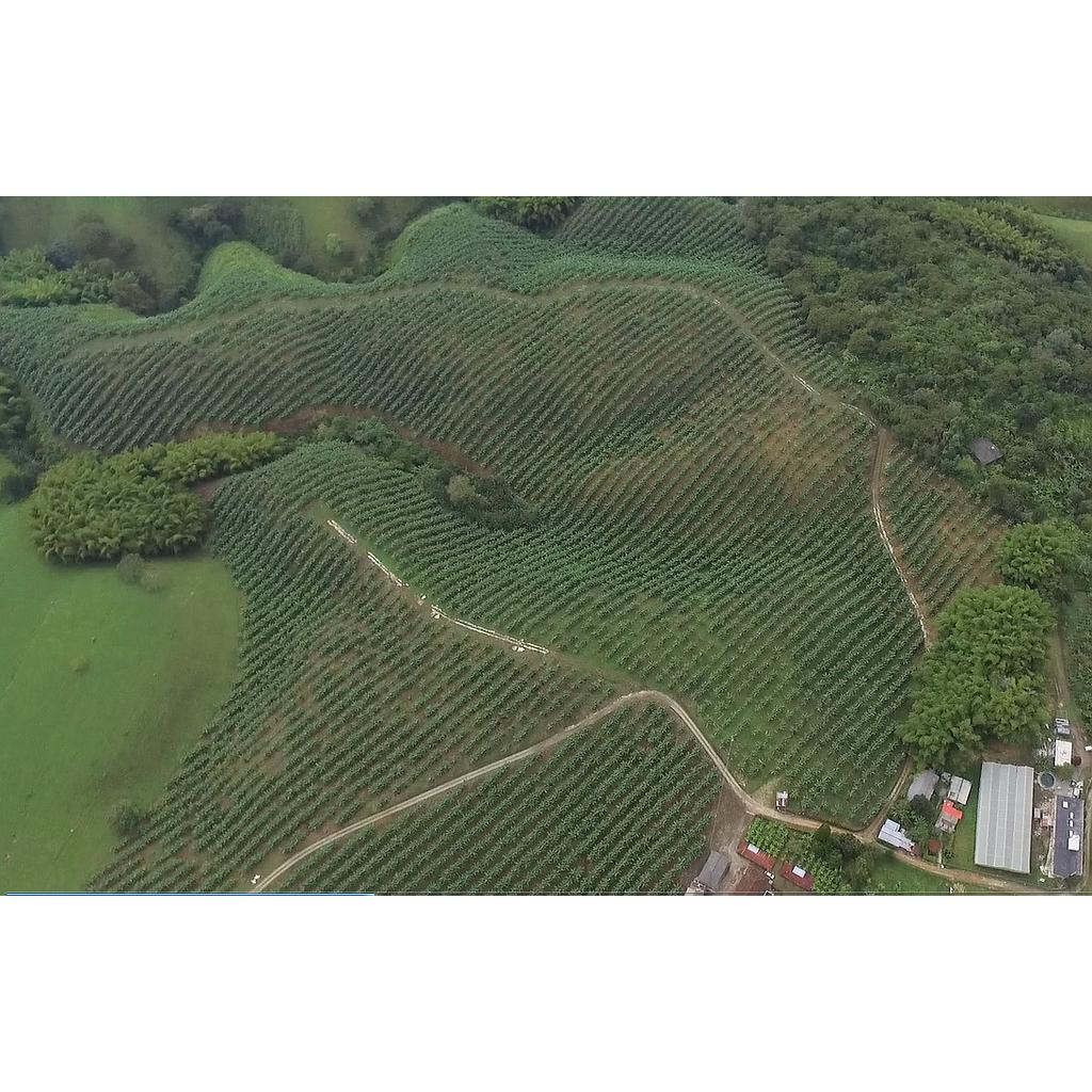 [VLtcmpstr00727] Lote campestre en zona Circasia- Vereda Hojas Anchas para venta - VLtcmpstr00727