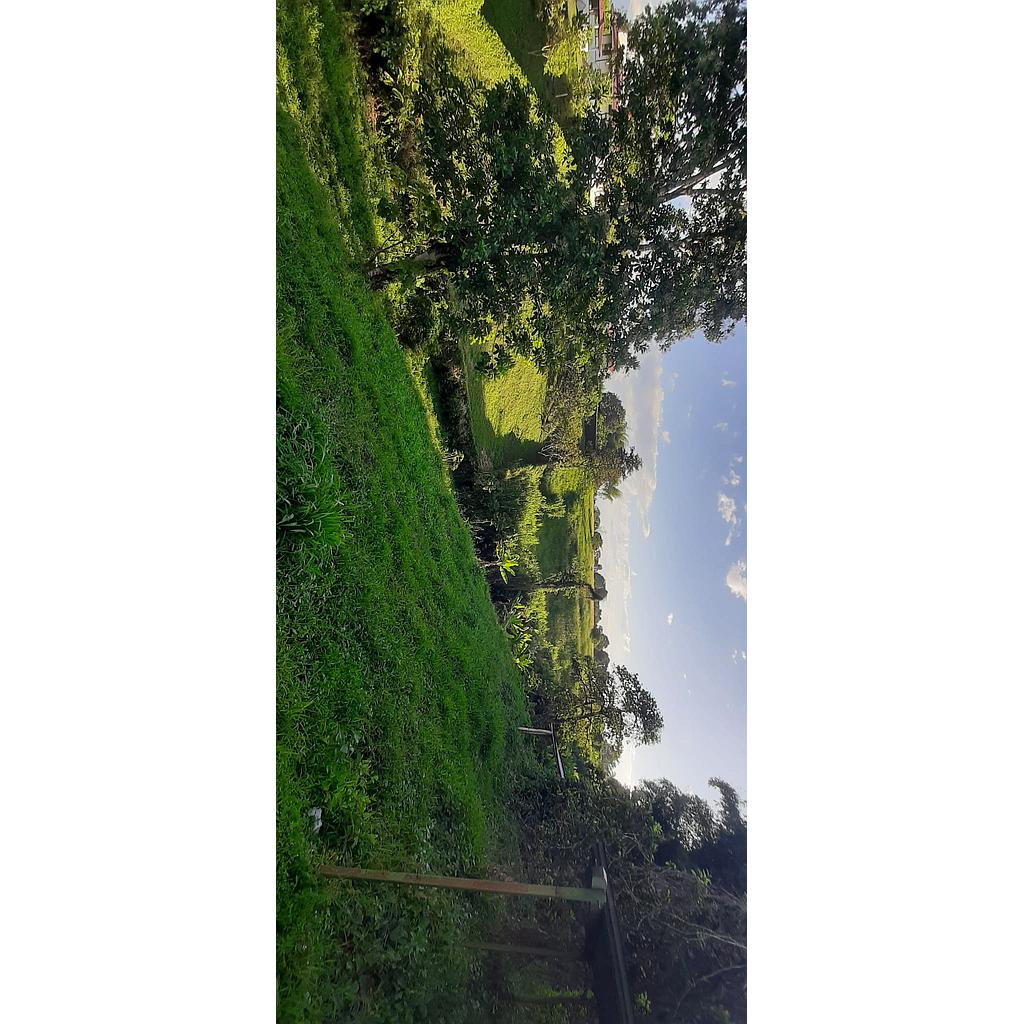 [VLtcmpstr01541] Lote campestre en zona VIA EL EDEN para venta - VLtcmpstr01541