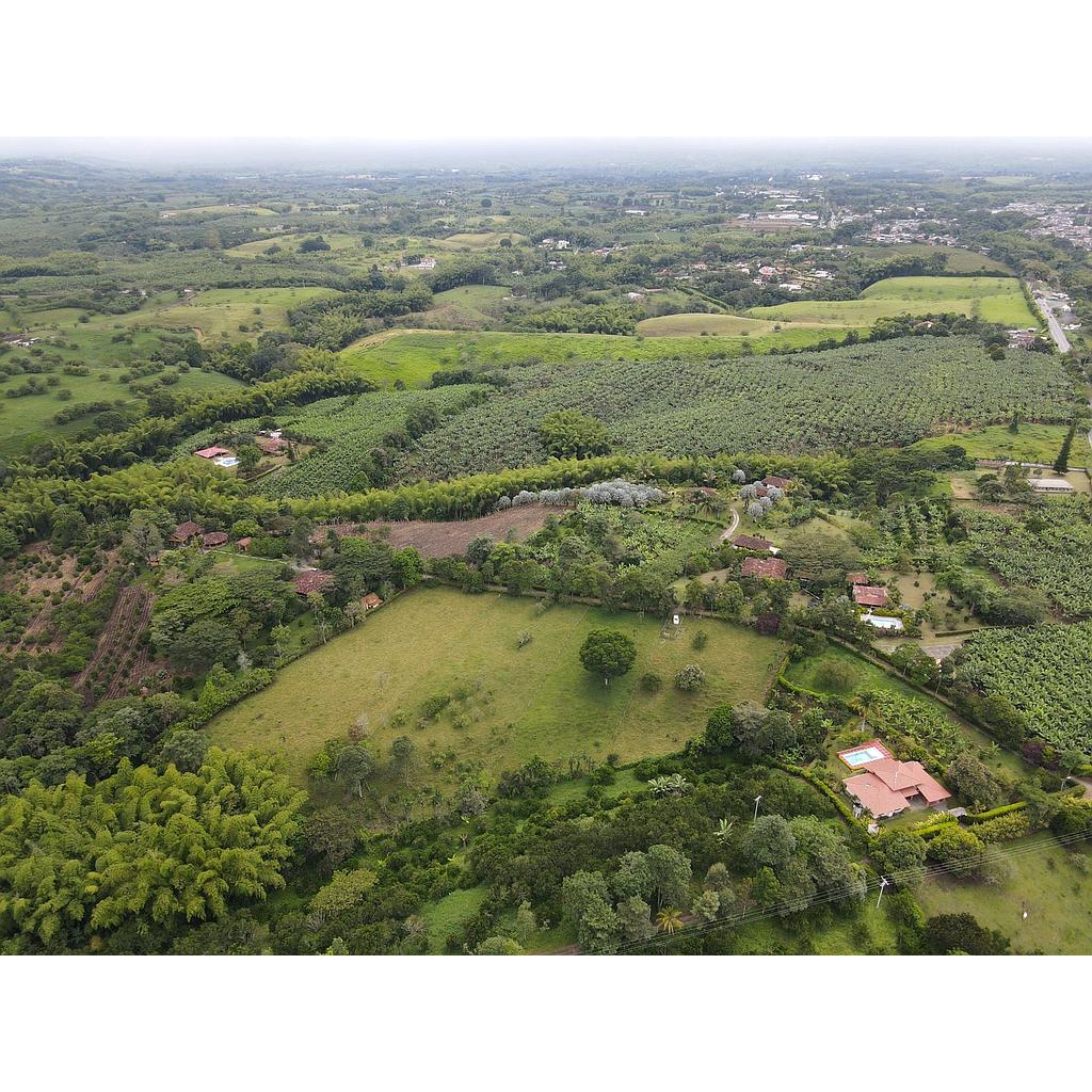 [V100381] LOTE FINCA en zona TEBAIDA para venta - la tebaida 