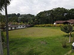 [VProp01947] en zona Circasia para venta - Lote en Circasia