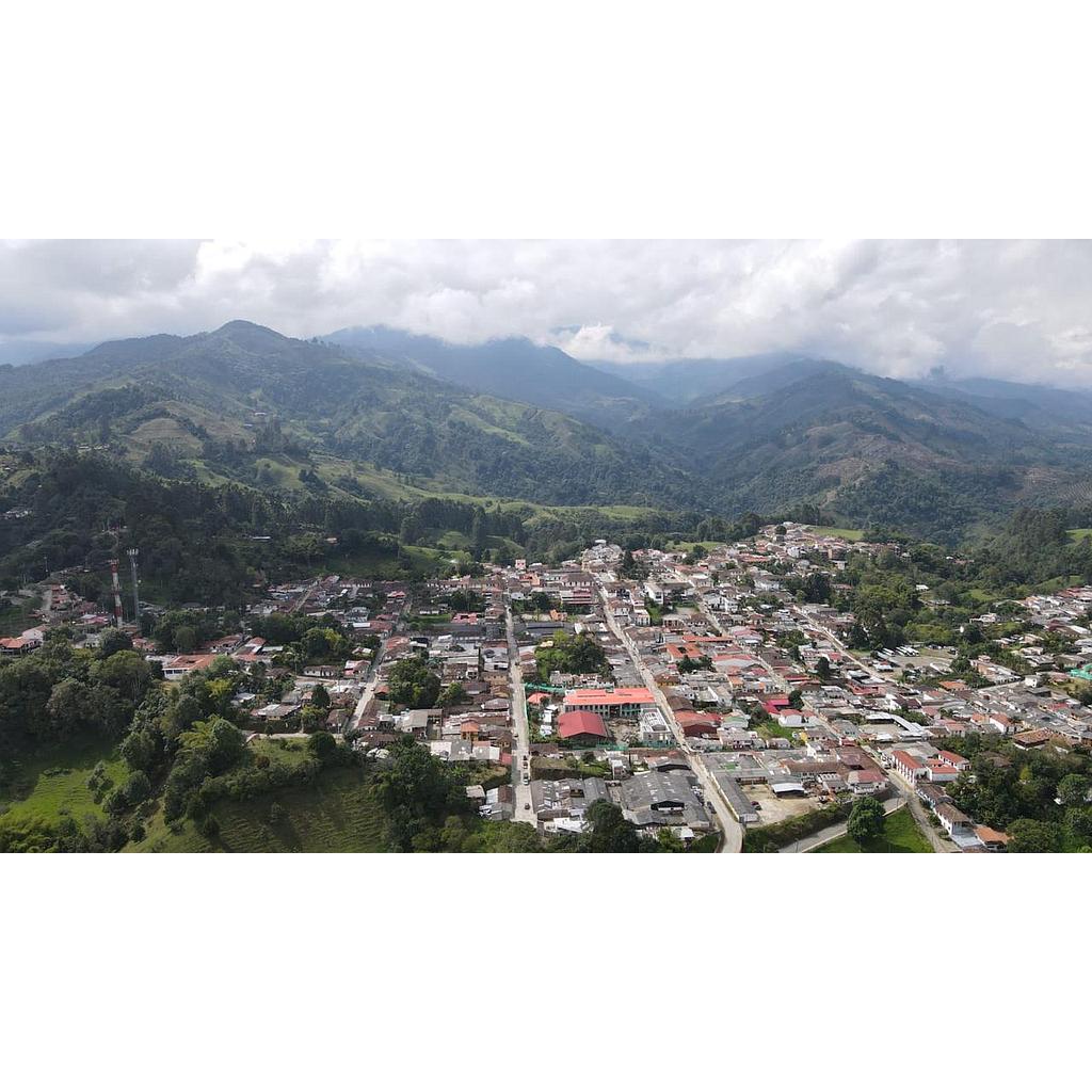 [VLtrbn01574] Lote urbano en zona Salento - cocora para venta - VLtrbn01574